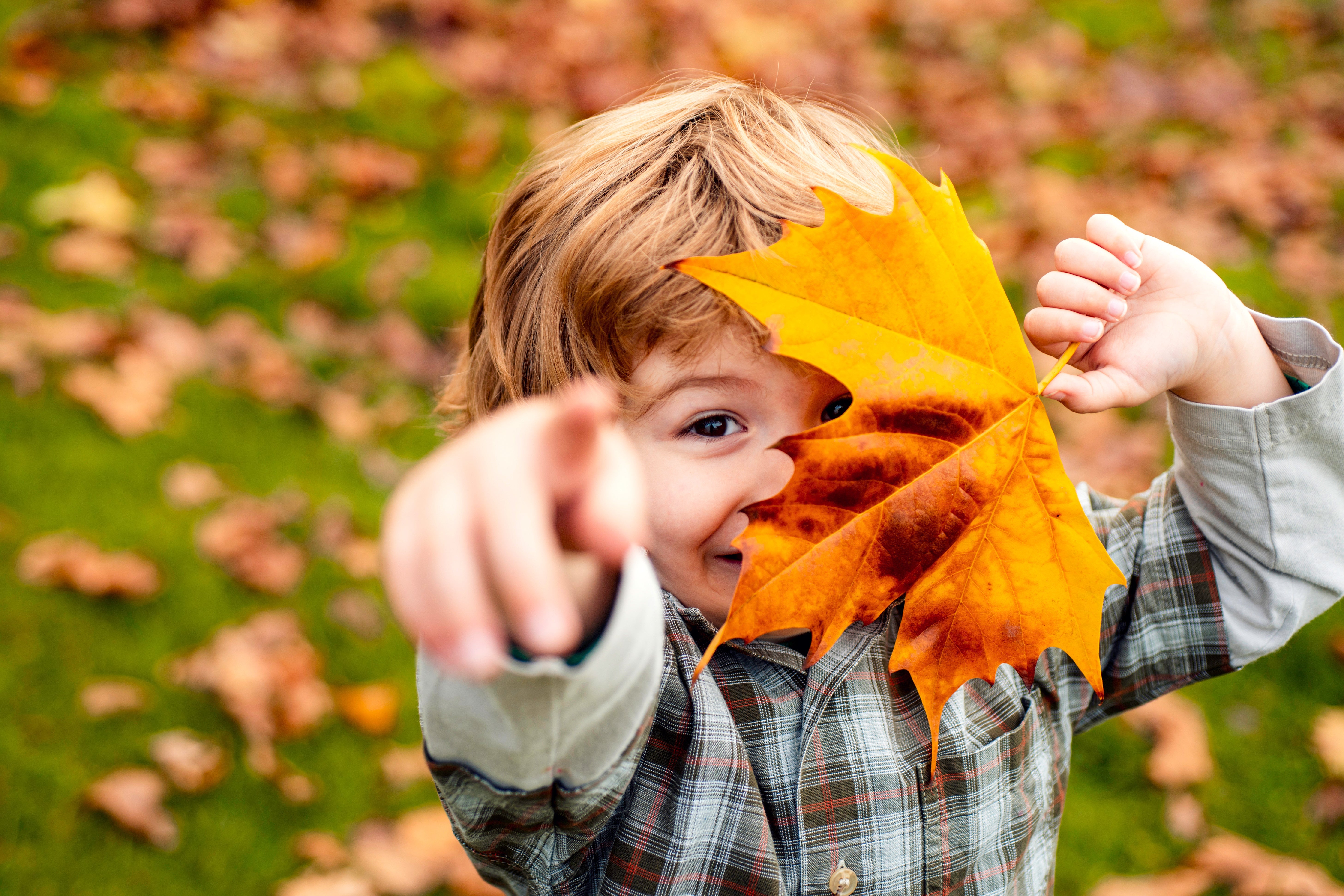 🍂 Herfst & dipjes: hoe kleine rituelen helpen bij seizoensblues